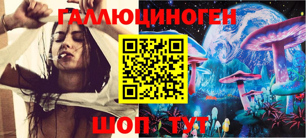 Псилоцибиновые грибы Psilocybine cubensis Камышин