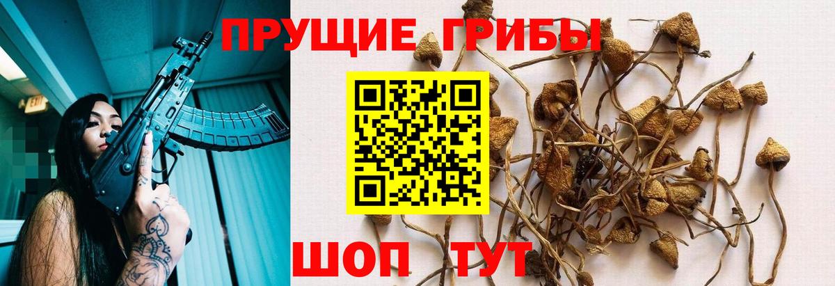 Псилоцибиновые грибы ЛСД  Галлюциногенные грибы Psilocybe  Вход с VPN  Камышин 