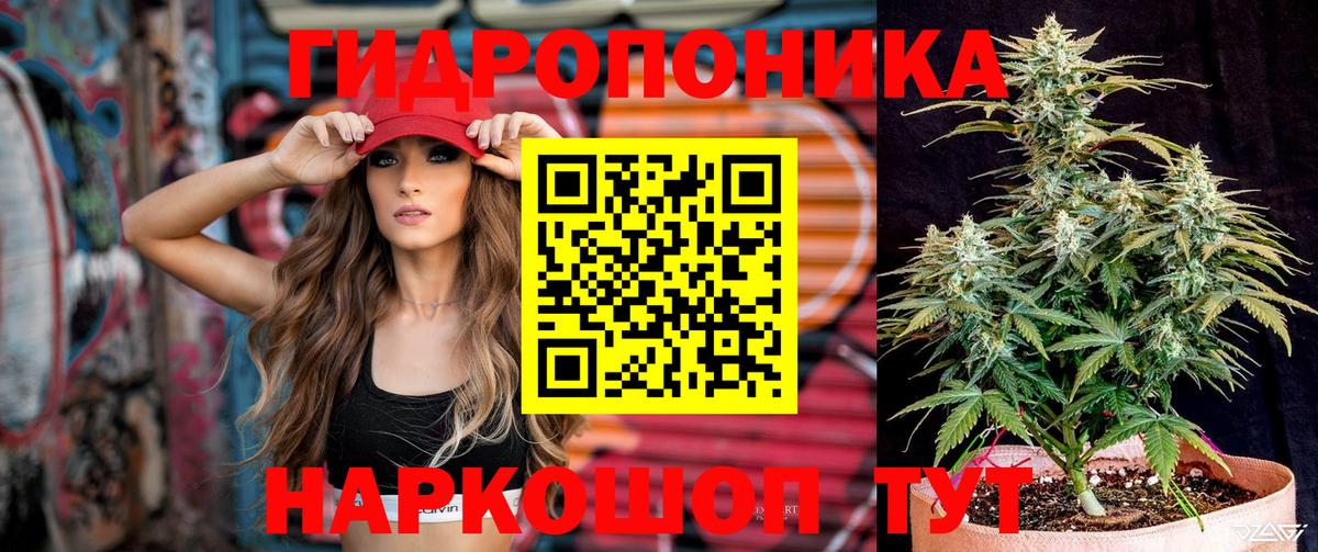 МАРИХУАНА марихуана  Вход с VPN  МАРИХУАНА VHQ  Каннабис Amnesia  Камышин 